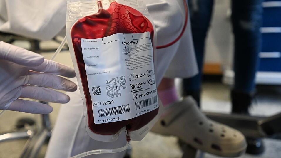 Tendenziell nehmen Bluttransfusionen bei Hunden zu, weil Besitzer bereit sind, teils auch viel Geld zu bezahlen.