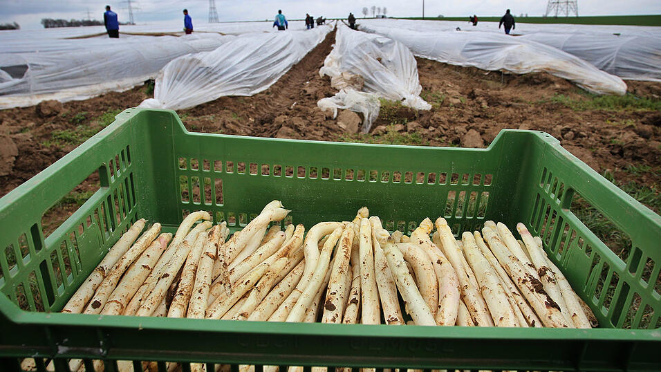 Symbolfoto: Karl-Josef Hildenbrand/dpa