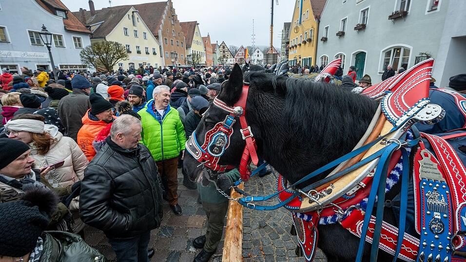 Pferde werden allerdings nicht mehr verkauft, sondern nur noch bestaunt.