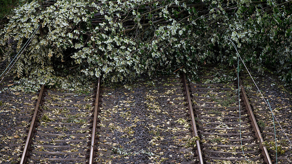 Einige Bahnstrecken waren am Mittwochnachmittag wegen umgestürzter Bäume gesperrt. (Symbolbild) Einige Bahnstrecken waren am Mittwochnachmittag wegen umgestürzter Bäume gesperrt. (Symbolbild)