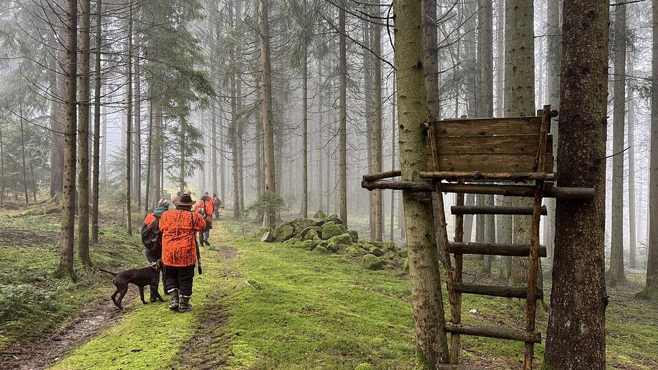 Mit den J&auml;gern im Wald, die Hunde sind dabei.