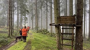 Mit den J&auml;gern im Wald, die Hunde sind dabei.