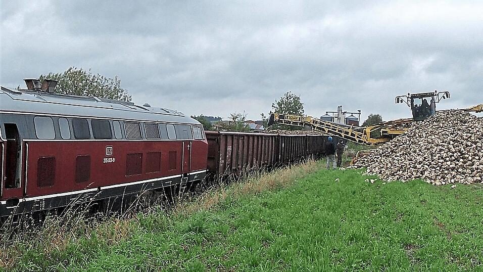 Bio-Zuckerrüben vom freien Feld gelangen mit der 'Rüben-Maus' auf die bereitstehenden Güterwaggons. Bio-Zuckerrüben vom freien Feld gelangen mit der 'Rüben-Maus' auf die bereitstehenden Güterwaggons.