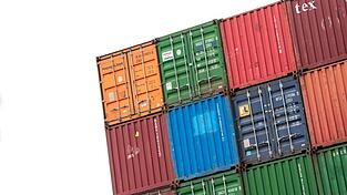 Die Beamten haben den Fall nun endg&uuml;ltig kl&auml;ren k&ouml;nnen. (Symbolbild)