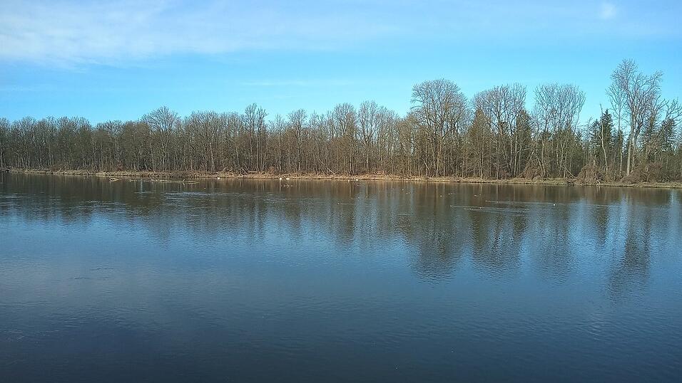 F&uuml;nf Jahre lang werden die Isarauen von Forschern unter die Lupe genommen, um nachhaltige L&ouml;sungen f&uuml;r den Schutz und die Entwicklung des &Ouml;kosystems zu finden. Die Erkenntnisse der Wissenschaftler sollen nicht nur in die Praxis umgesetzt werden, sondern auch in die Lehre einflie&szlig;en.