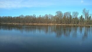 Fünf Jahre lang werden die Isarauen von Forschern unter die Lupe genommen, um nachhaltige Lösungen für den Schutz und die Entwicklung des Ökosystems zu finden. Die Erkenntnisse der Wissenschaftler sollen nicht nur in die Praxis umgesetzt werden, sondern auch in die Lehre einfließen. Fünf Jahre lang werden die Isarauen von Forschern unter die Lupe genommen, um nachhaltige Lösungen für den Schutz und die Entwicklung des Ökosystems zu finden. Die Erkenntnisse der Wissenschaftler sollen nicht nur in die Praxis umgesetzt werden, sondern auch in die Lehre einfließen.