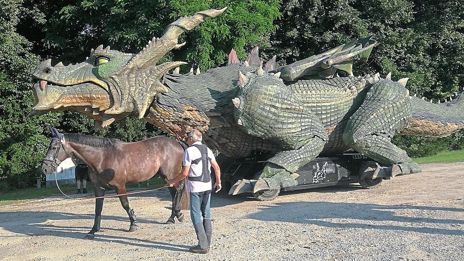 Sam ging - geführt von Rittertrainer Willi Späth - ohne Probleme zum Drachen hin. Auch die Spezialeffekte machten ihm nichts aus. Sam ging - geführt von Rittertrainer Willi Späth - ohne Probleme zum Drachen hin. Auch die Spezialeffekte machten ihm nichts aus.
