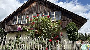 Am Hauseingang heißt ein roter Rosenbusch Besucher willkommen. Am Hauseingang heißt ein roter Rosenbusch Besucher willkommen.