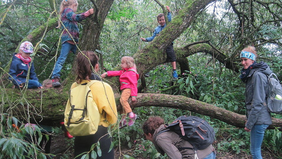 Die Kinder erkunden die Donauinsel. Die Kinder erkunden die Donauinsel.