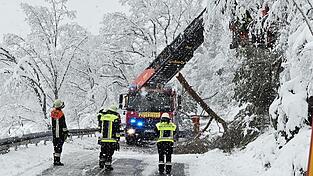Die Schlatzendorfer Wehr r&uuml;ckte mit Unterst&uuml;tzung der Viechtacher aus auf die alte B 85: Auf H&ouml;he Reibenm&uuml;hle war ein Baum umgest&uuml;rzt.