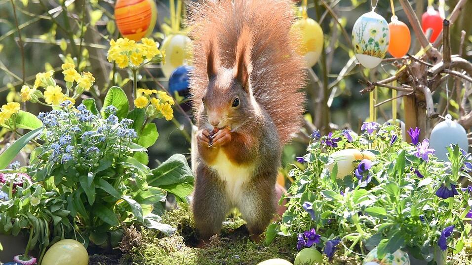 Ostern steht vor der T&uuml;r. (Archivbild)