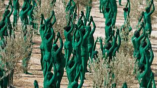 Intensives Grün: Spencer Tunicks erste Kunstinstallation in Andalusien.