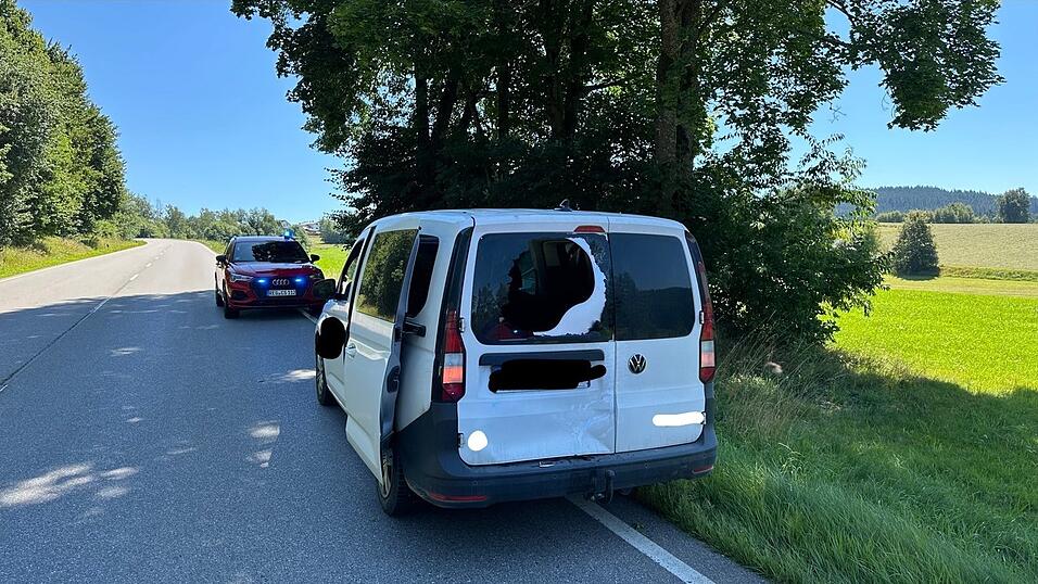 Der Fahrer des Vans bleib unverletzt.