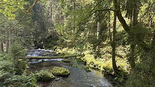 Der Flusswanderweg ist wunderschön.