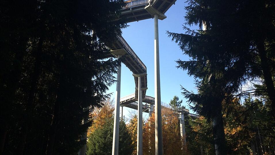 Bei gutem Wetter lohnt sich ein Ausflug zum Waldwipfelweg in Maibrunn (Landkreis Straubing-Bogen). Ein breiter, h&ouml;lzerner Pfad bringt die Besucher &uuml;ber die Baumwipfel hinaus. Von dort aus k&ouml;nnen sie vom Bayerischen Wald bis ins Tal blicken. Eine Familienkarte kostet 20 Euro.