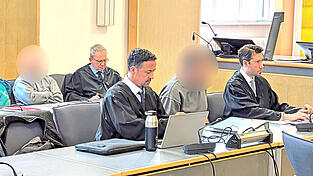 Die beiden Angeklagten f&uuml;rchten unter anderem, dass sie f&uuml;r den hohen Diebstahlschaden werden haften m&uuml;ssen.