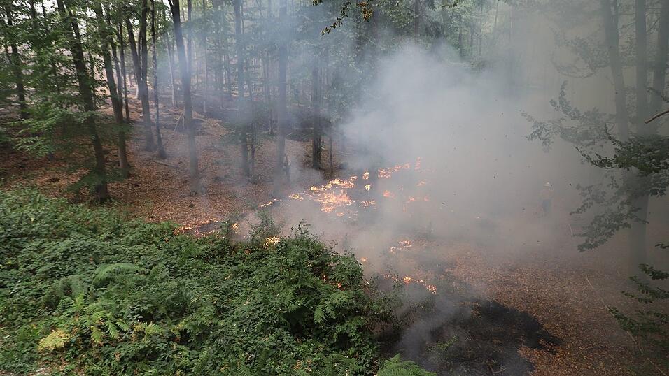 Flammen lodern am Boden beim Waldbrand im Hürtgenwald. Flammen lodern am Boden beim Waldbrand im Hürtgenwald.