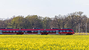 Mit nicht wenig Kokain erwischten die Polizeibeamten einen 28-Jährigen. (Symbolbild) Mit nicht wenig Kokain erwischten die Polizeibeamten einen 28-Jährigen. (Symbolbild)