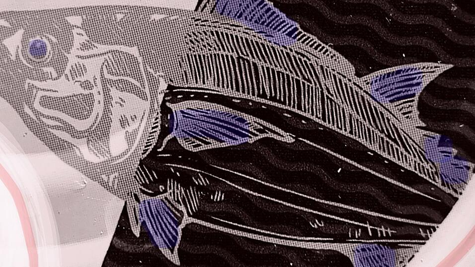 Manche Fische sind geschützt und dürfen nicht geangelt werden. Daran muss man sich auch halten, sonst droht im Falle des Frauennerflings eine hohe Geldstrafe und in einigen Fällen sogar eine Freiheitsstrafe. Hier abgebildet: Ein Thunfisch. Manche Fische sind geschützt und dürfen nicht geangelt werden. Daran muss man sich auch halten, sonst droht im Falle des Frauennerflings eine hohe Geldstrafe und in einigen Fällen sogar eine Freiheitsstrafe. Hier abgebildet: Ein Thunfisch.