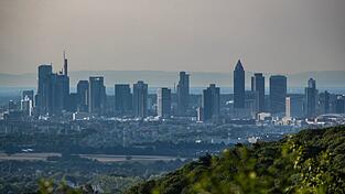 Der Umweltverband WWF kritisiert Banken f&uuml;r fehlende Klimaschutzbem&uuml;hungen