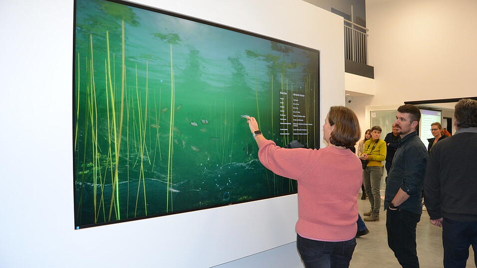 Ein virtuelles Großaquarium im Foyer des neuen 'Haus der Fischerei' in Kelheim bietet einen interessanten Blick in die Unterwasserwelt der Region.