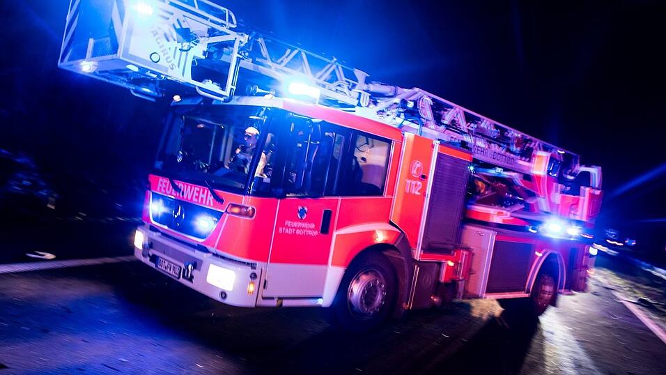 Ein Hund und eine Katze werden von der Feuerwehr gerettet, aber für drei Tiere kommt jede Hilfe zu spät. (Symbolbild)