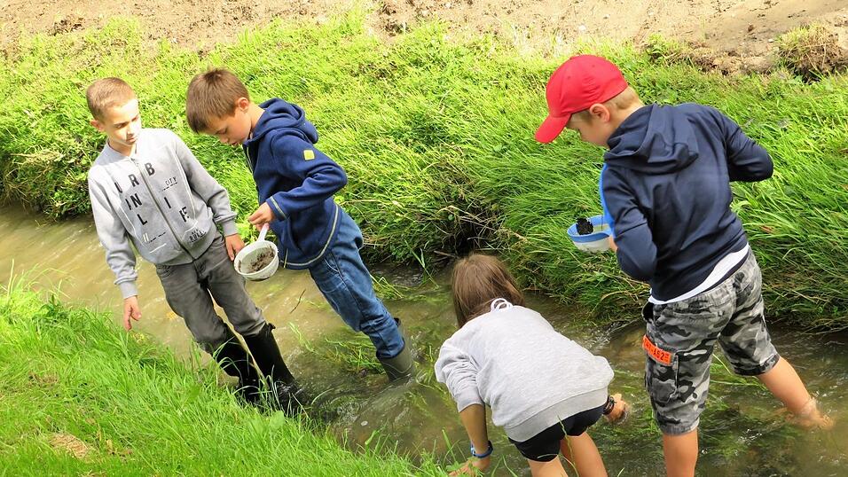 Die Schüler bestimmten mittels Sieb und Becherlupe unter anderem Bachflohkrebse, Köcherfliegenlarven, Eintagsfliegen Larven, Kugelmuscheln, Egel und Eintagsfliege. Die Schüler bestimmten mittels Sieb und Becherlupe unter anderem Bachflohkrebse, Köcherfliegenlarven, Eintagsfliegen Larven, Kugelmuscheln, Egel und Eintagsfliege.