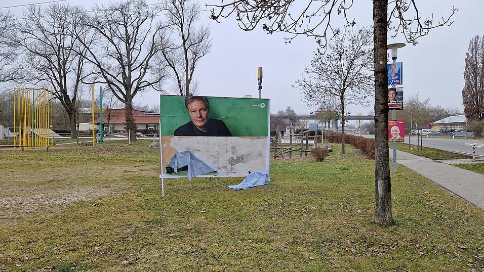 Immer wieder sieht man - wie hier in der Harburger Straße in Landau - ramponierte Wahlplakate.