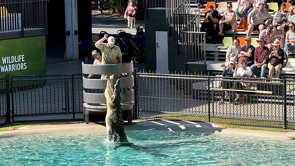 Die Show im &laquo;Crocoseum&raquo; ist spektakul&auml;r.