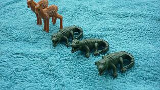 Wie viele bin ich? Wie viele bin ich?