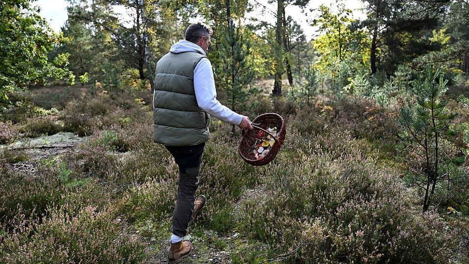 Moritz Schmid unterwegs in seinem Heimatwald. Moritz Schmid unterwegs in seinem Heimatwald.