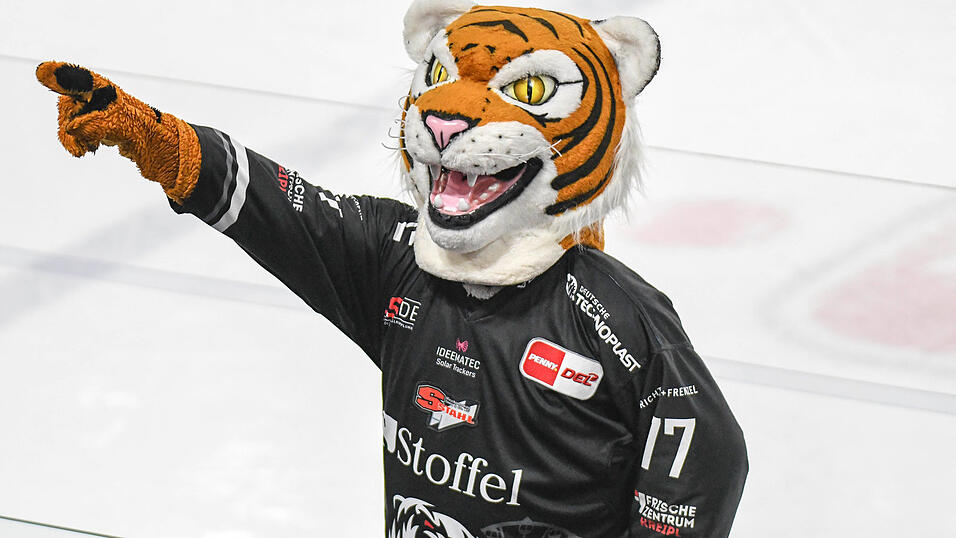 In den bayerischen Raubkatzenduellen gegen Ingolstadt und Augsburg wollen die Straubing Tigers wieder die Krallen ausfahren. Dar&uuml;ber w&uuml;rde sich bestimmt auch Tigo freuen.