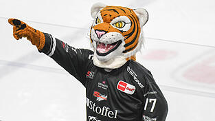 In den bayerischen Raubkatzenduellen gegen Ingolstadt und Augsburg wollen die Straubing Tigers wieder die Krallen ausfahren. Dar&uuml;ber w&uuml;rde sich bestimmt auch Tigo freuen.