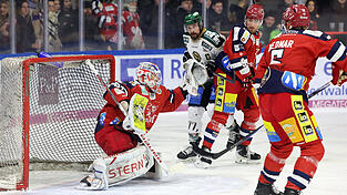 Wie gegen Erding konnte sich die DSC-Defensive auch gegen die Heilbronner Falken mehrmals auszeichnen. &nbsp;&nbsp; &nbsp;