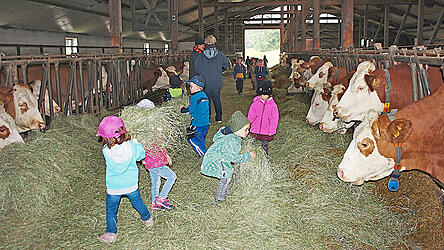 Schon bisher sind Schulklassen oder Kindergartenkinder manchmal zu Gast auf dem Erlebnisbauernhof. K&uuml;nftig soll es in Wernetsgrub einen richtigen Bauernhof- und Waldkindergarten geben, bei dem die Tiere einen wesentlichen Teil des Tagesablaufs bilden.
