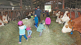 Schon bisher sind Schulklassen oder Kindergartenkinder manchmal zu Gast auf dem Erlebnisbauernhof. Künftig soll es in Wernetsgrub einen richtigen Bauernhof- und Waldkindergarten geben, bei dem die Tiere einen wesentlichen Teil des Tagesablaufs bilden. Schon bisher sind Schulklassen oder Kindergartenkinder manchmal zu Gast auf dem Erlebnisbauernhof. Künftig soll es in Wernetsgrub einen richtigen Bauernhof- und Waldkindergarten geben, bei dem die Tiere einen wesentlichen Teil des Tagesablaufs bilden.