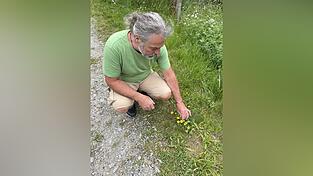 Beim Rundgang durch das Schulgel&auml;nde zeigte er verschiedene essbare Blumen, B&auml;ume, Pflanzen.
