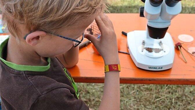 Tiere und Pflanzen nahmen die Kinder mit dem Mikroskop oder im Becher unter die Lupe. Tiere und Pflanzen nahmen die Kinder mit dem Mikroskop oder im Becher unter die Lupe.