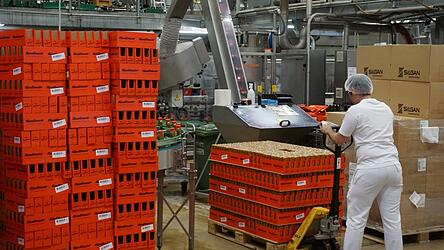 Mehrere Tausend Tuben s&uuml;&szlig;en Senf pro Stunde produziert H&auml;ndlmaier im Haslbacher Werk.