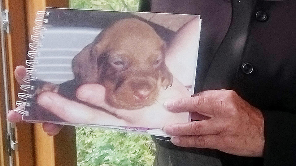 Die urspr&uuml;ngliche Halterin h&auml;lt im Gericht ein Foto von Bonnie aus Welpentagen. Das Landgericht Potsdam wird am 10. August dar&uuml;ber entscheiden, ob die H&uuml;ndin in Bayern bleiben darf oder ihren eigentlichen Besitzern in Potsdam zugesprochen wird.