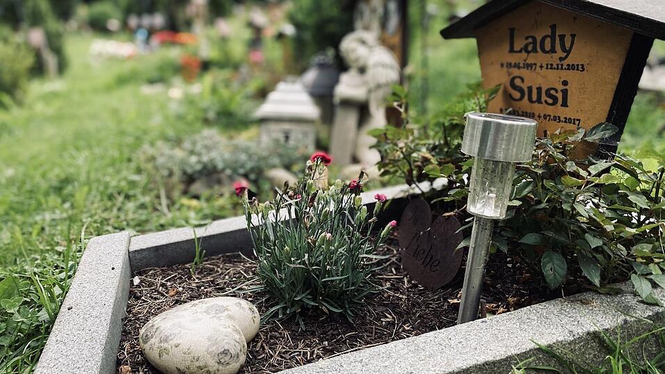 IM VORBEIFAHREN: Kennen Sie jedes Fleckerl in der Region? Auf dem Weg zu den Weichselgartners (Bild links) fahre ich durch Ast, Tiefenbach und Vilsheim. IM VORBEIFAHREN: Kennen Sie jedes Fleckerl in der Region? Auf dem Weg zu den Weichselgartners (Bild links) fahre ich durch Ast, Tiefenbach und Vilsheim.