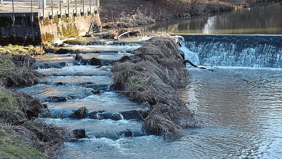 Aktuell pl&auml;tschert die Abens idyllisch vor sich hin. In der Vergangenheit sorgte der Fluss allerdings schon f&uuml;r &Uuml;berschwemmungen.