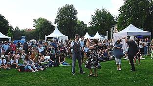 Die „Nacht in Blau“ der Rewag zog in den vergangenen Jahren Tausende Regensburger in den Stadtpark, wie hier im August 2024. Nun will die Stadt die Wiese für solche Veranstaltungen ertüchtigen. Die „Nacht in Blau“ der Rewag zog in den vergangenen Jahren Tausende Regensburger in den Stadtpark, wie hier im August 2024. Nun will die Stadt die Wiese für solche Veranstaltungen ertüchtigen.