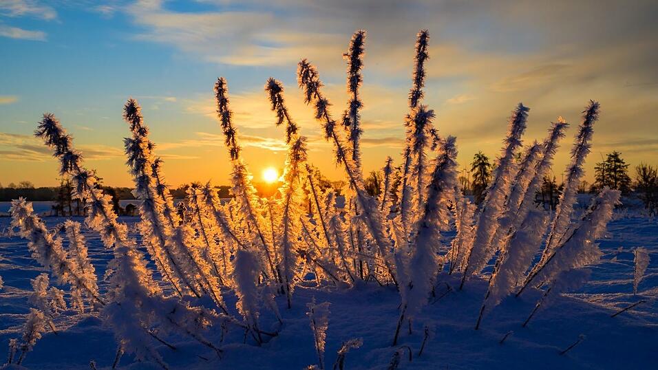 Sonne und kalte Luft erwarten die Meteorologen zum Wochenbeginn. (Archivbild)