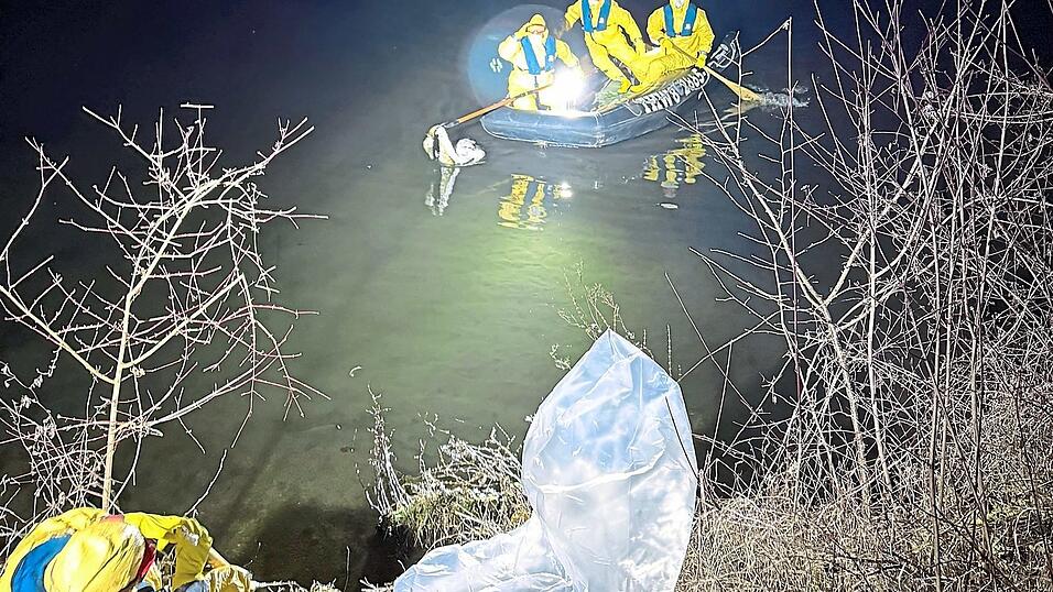 Die Plastikhülle liegt schon für den verendeten Schwan bereit, damit er an das Veterinäramt übergeben werden kann. Die Plastikhülle liegt schon für den verendeten Schwan bereit, damit er an das Veterinäramt übergeben werden kann.