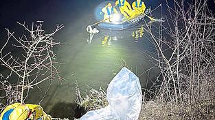 Die Plastikh&uuml;lle liegt schon f&uuml;r den verendeten Schwan bereit, damit er an das Veterin&auml;ramt &uuml;bergeben werden kann.