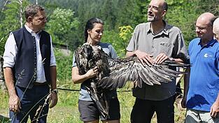 Bartgeier Zierli wurde zusammen mit Jungtier Alosa zur Auswilderungsnische im Klausbachtal gebracht. Bartgeier Zierli wurde zusammen mit Jungtier Alosa zur Auswilderungsnische im Klausbachtal gebracht.