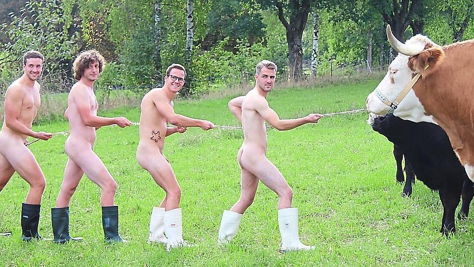 Da haben sich die Jungs ganz schön was vorgenommen: Den 1,3 Tonnen schweren Ochsen David bekommt man nicht so schnell vom Fleck. Da haben sich die Jungs ganz schön was vorgenommen: Den 1,3 Tonnen schweren Ochsen David bekommt man nicht so schnell vom Fleck.