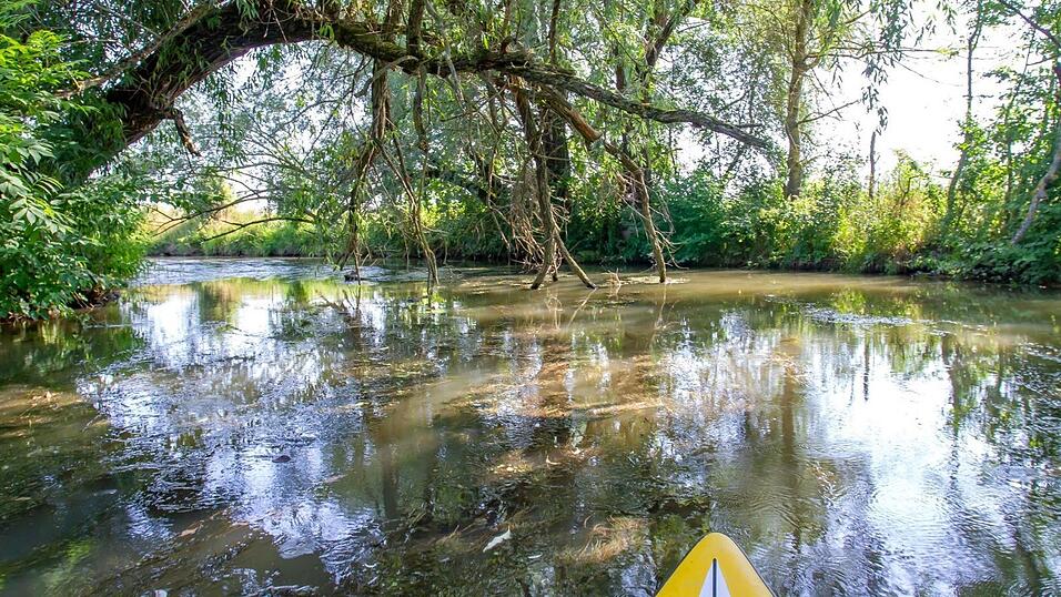 Wie in fernen L&auml;ndern wirkt der Fluss manchmal - hier bei Hirschling.