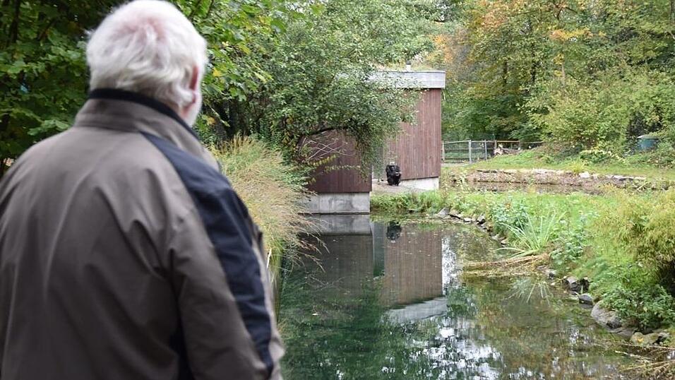 Tiergartendirektor Wolfgang Peter wird Anfang 2023 in Ruhestand gehen. (Archivbild) Tiergartendirektor Wolfgang Peter wird Anfang 2023 in Ruhestand gehen. (Archivbild)